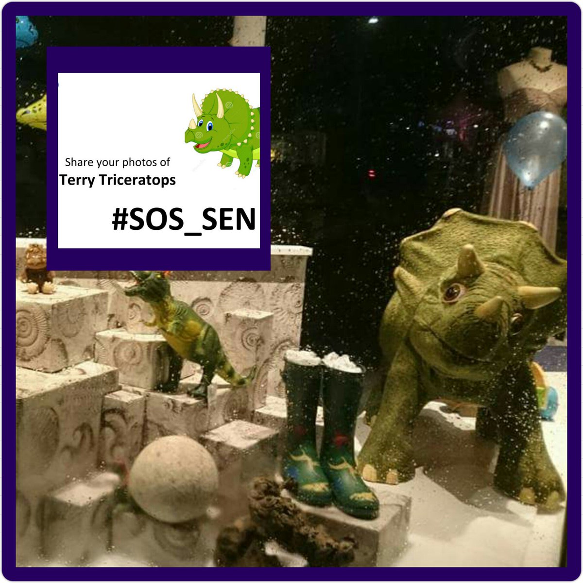 SOSSENshopWP's tweet photo. @WorcesterPkMums @worcesterpark_i @worcesterpark If you have been in to see Terry and taken a photo we would love to see your pics #SOS_SEN https://t.co/PFMjzt2RF6
