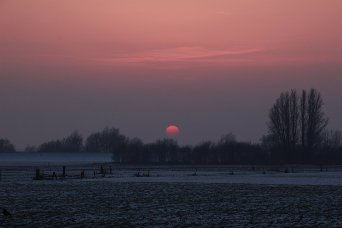 Diane Kleine tweet media
