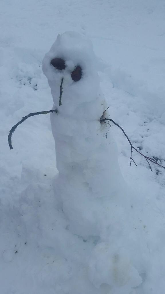 almostafarmBC's tweet photo. My wife was saying she wouldn't be opposed to having one more kid. So I built her a snowchild #no #parenting #vasectomytime #Ihaveaheadache https://t.co/6HT8UNdAmh