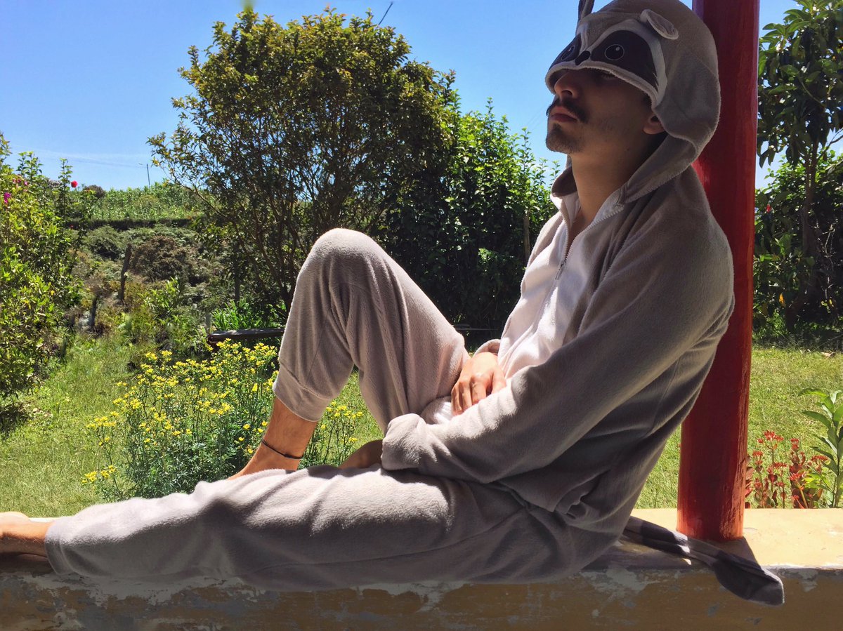 emm_rz's tweet photo. mood: #MapacheStyle https://t.co/G6DVguNoXi