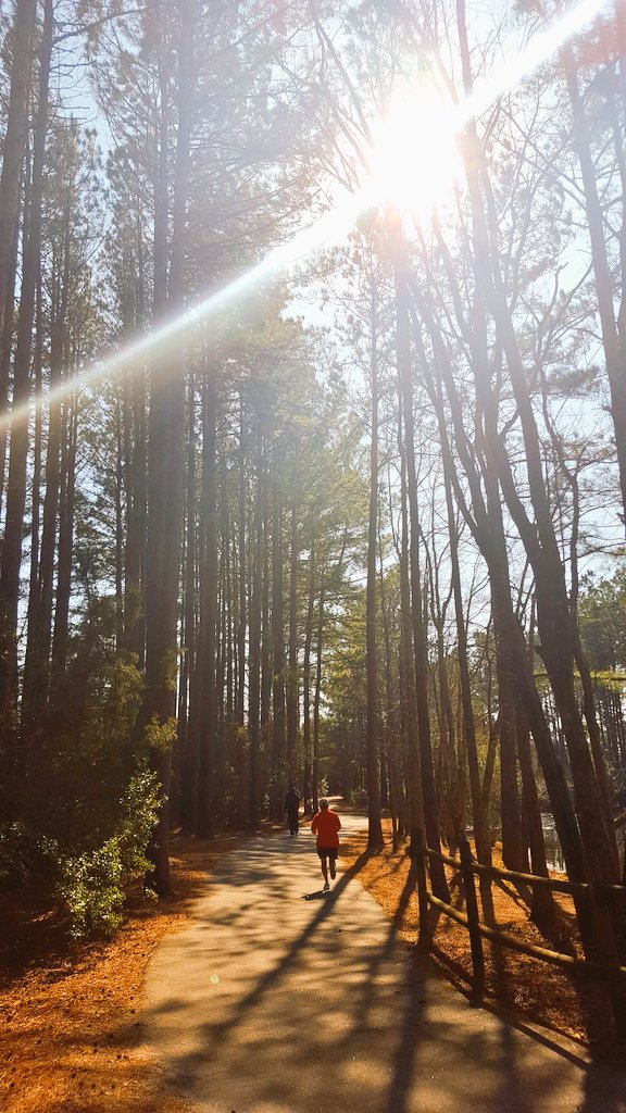 TownofClaytonNC's tweet photo. Take a stroll in our gorgeous trails  @Clayton Community park then cut over to the rec center for the 2 pm #universalplayground update https://t.co/Gxf4dUG8MY