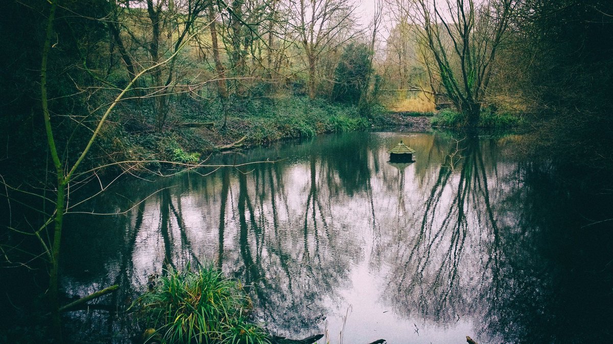 Plmstd's tweet photo. The Slade Ponds #plumstead #se18 https://t.co/ySjF4RWR8D