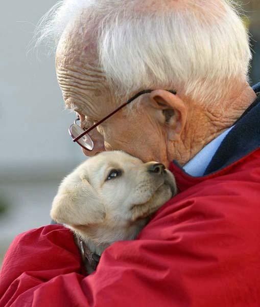 Grandpa and his granddaughter, such a beautiful relationship!

#dogs #pets #animals #dogsoftwitter