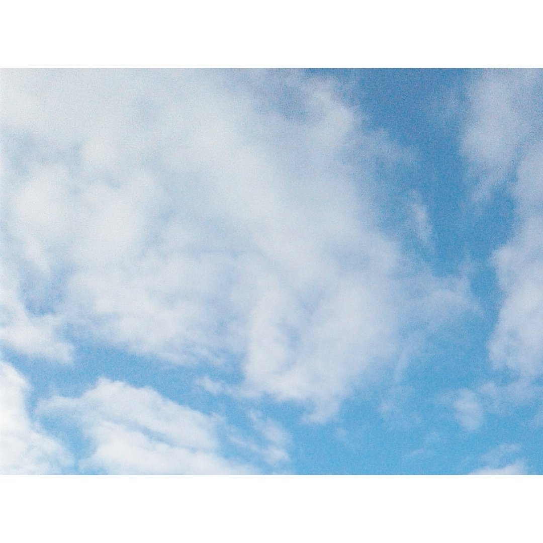 ArdeanPeters's tweet photo. Thinking of blue skies on this snowy Sunday morning...#LookingforLight https://t.co/jf74kXx8Lm https://t.co/iQVtmP5FOc