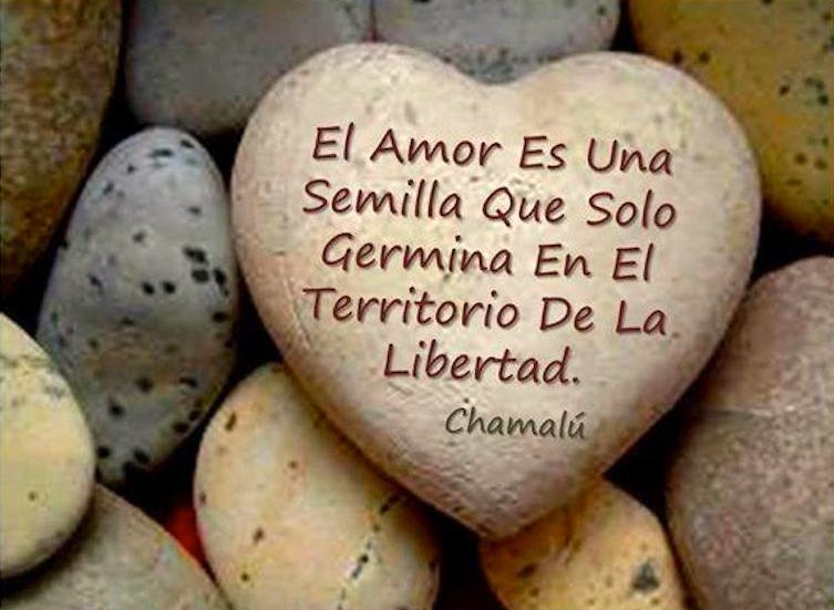 MerVivar's tweet image. 