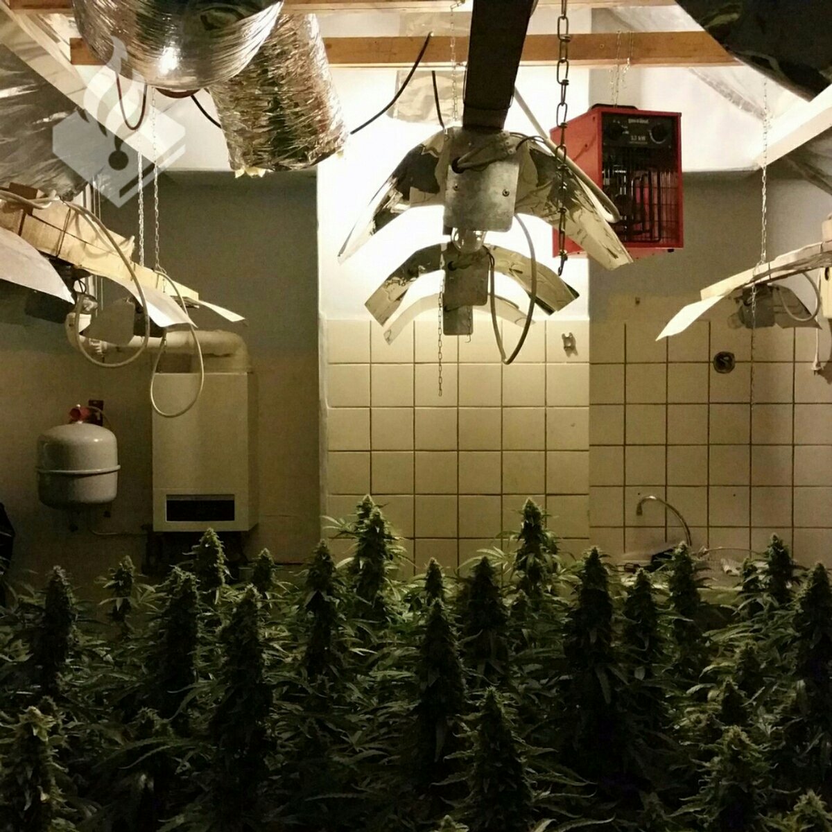 'Slechte grap' met nepwapen op school in Valkenswaard zet wellicht gezin op straat ed.nl/regio/cranendo… #Valkenswaard