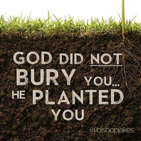 christemb_usa's tweet photo. https://t.co/UWNXNtE81l