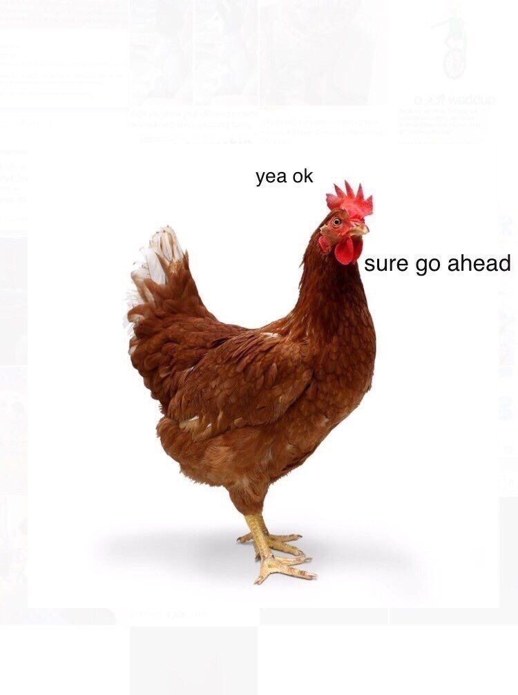 CauseWereGuys's tweet photo. 😂😂😂 https://t.co/uDrWTxkbFW