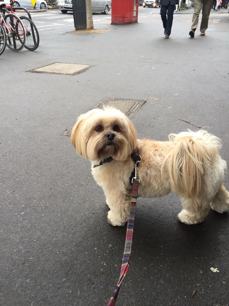 lucrezianews's tweet photo. #winterwalkface https://t.co/9MWfxULuZq