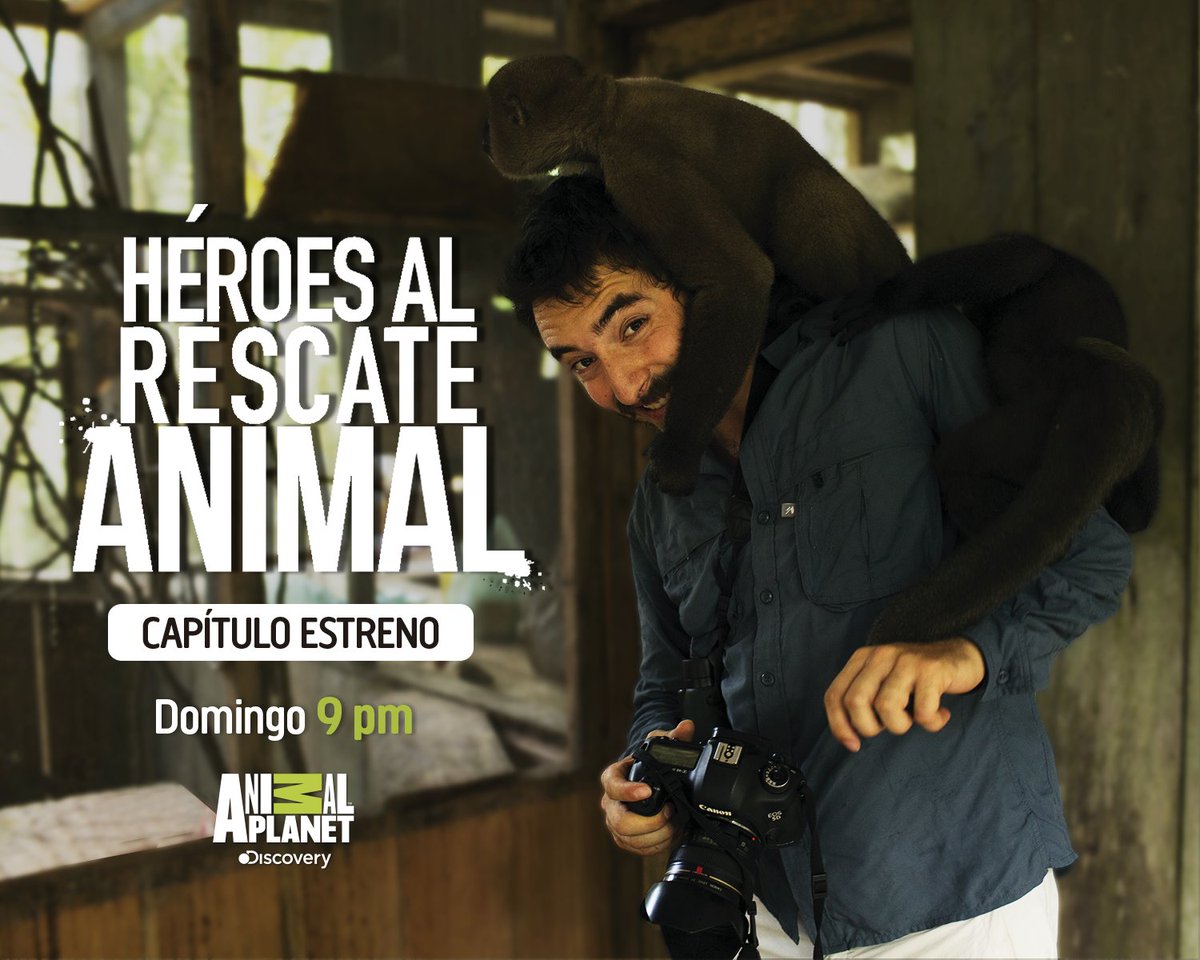 AnimalPlanetCol's tweet photo. Nuevas historias de conservación y amor animal con #HéroesAlRescate, Hoy a las 9 pm https://t.co/2mBPIO5hq0
