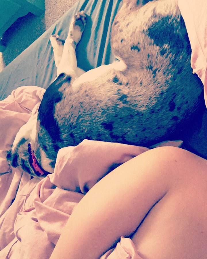 Goddess_Leila_'s tweet photo. My dog is more privileged than you losers will ever be. #bitches #superior #femdom @RT4FD @RTPromo2 @RTsubby @RTfucker https://t.co/NK9GP780wu