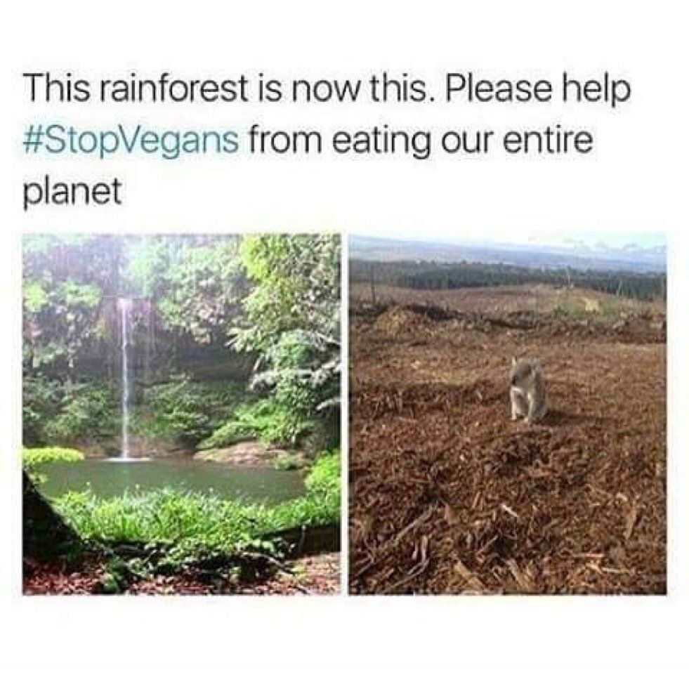 MensHumor's tweet photo. They have to be stopped! https://t.co/4I3V3bFhS9