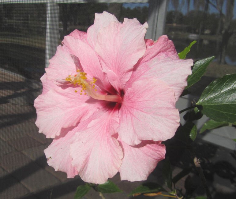 DMichaelHarding's tweet image. Florida in February!