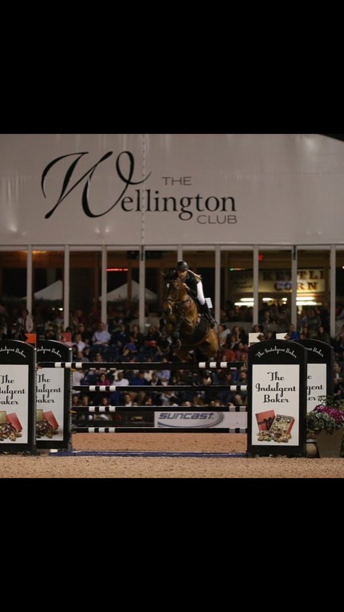 BullRunJumpers's tweet photo. Bull Run's Testify jumping great in last nights CSI 5* Grand Prix! https://t.co/56DWc1Qy5Q