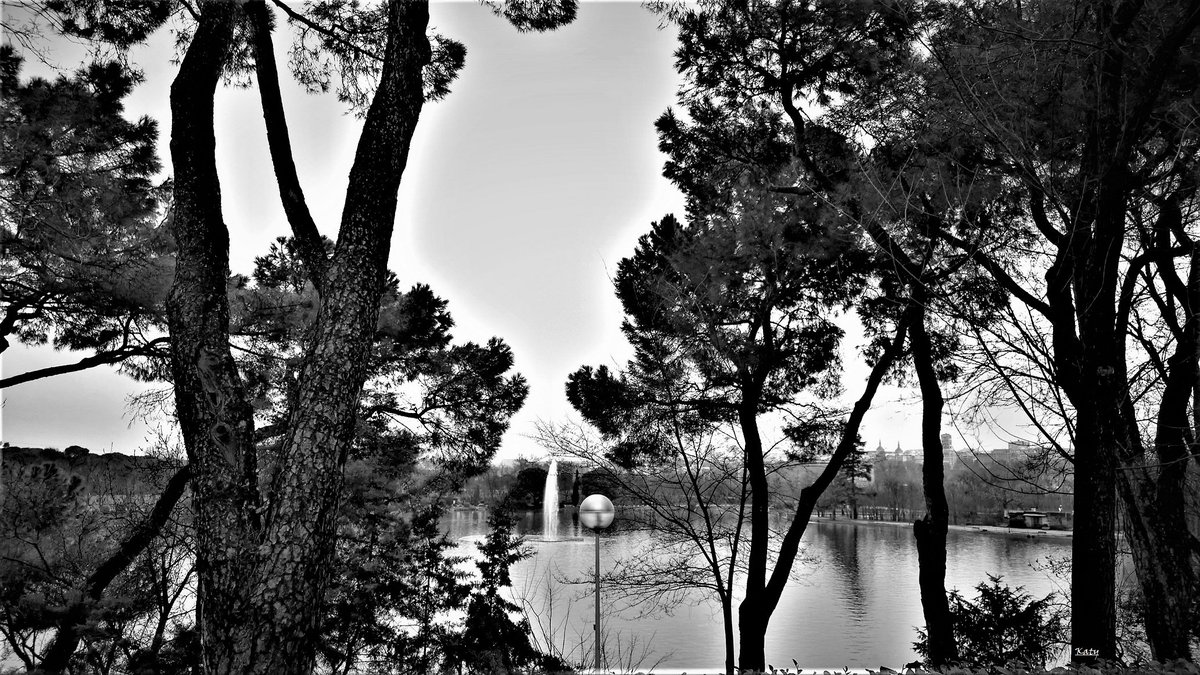 KatySnchez's tweet photo. Lago de la Casa de Campo #Madrid #blackandwhite #CasaDeCampo #blackandwhitephotography https://t.co/dvEGke90bg