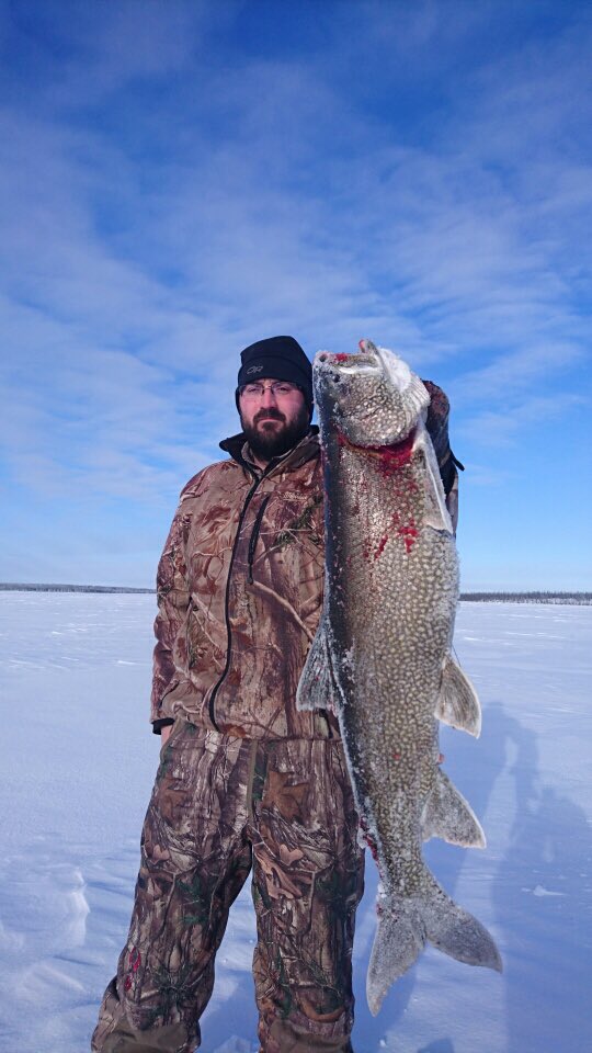 AlMclauchlan123's tweet photo. @JamesLindsay_  I keep showing the #LakeTrout @slinger_189 caught.    You may have a stampede of visitors from #MbOutdoorShow https://t.co/25mieMspvF