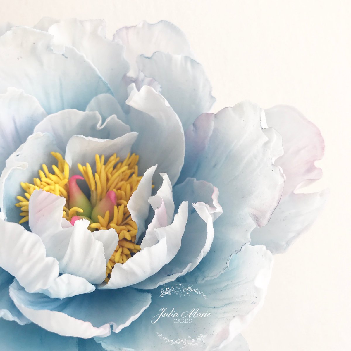 JuliaMarieCakes's tweet photo. Some Sunday flower making 💙 #sugarflowers #sugarpeony #peony https://t.co/S2tRBWIzUk