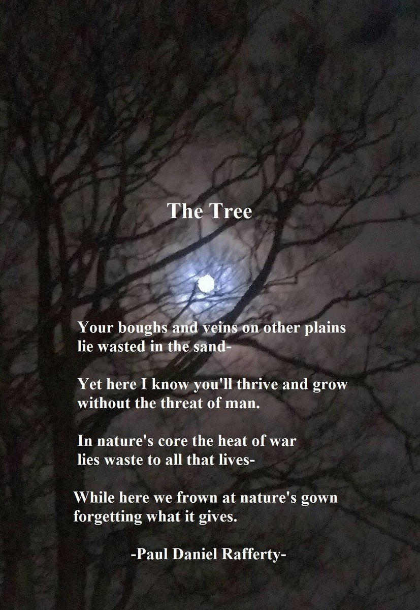 rafferty_paul's tweet photo. #poetry
#poetryprotest
#tree
#war
#MotherNature
#SnowMoon https://t.co/0ud3klrZbN