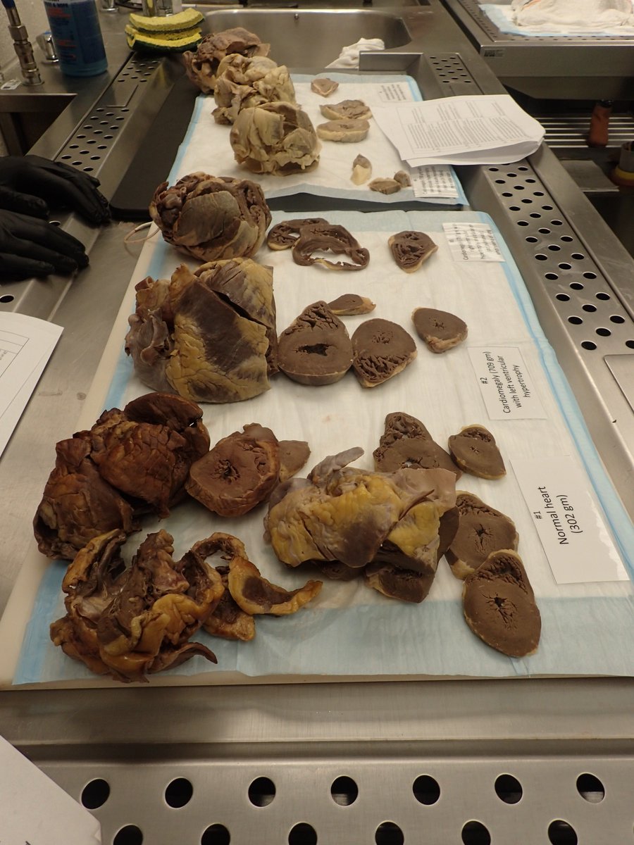 CArnoldMD tweet picture