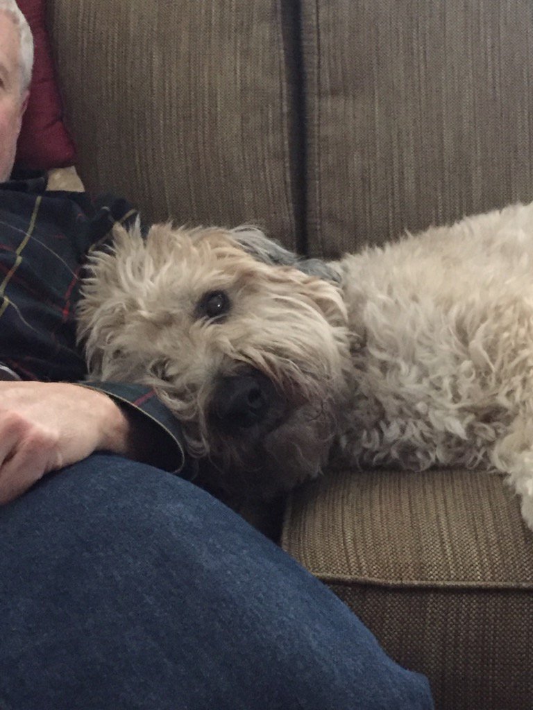otwits26's tweet photo. Hope you're having a great birthday today dad 🐶💤 https://t.co/t0WUVKwr5t