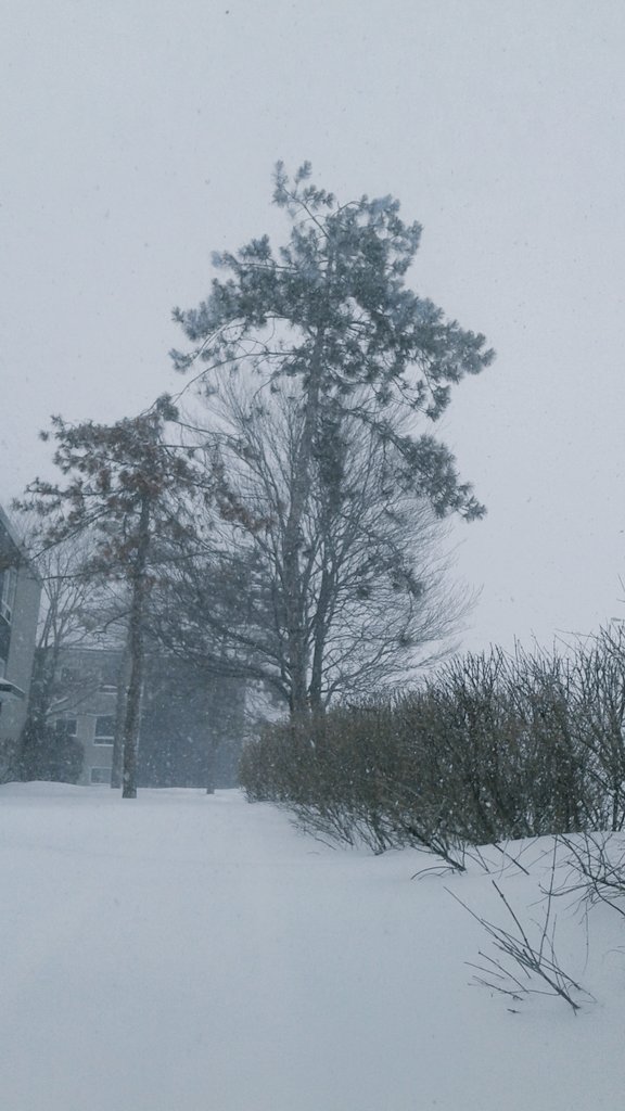 MegC095's tweet photo. Snowing like crazy outside. #loveit but glad I'm not out there #winter #letitsnow https://t.co/itmYwrsFrT