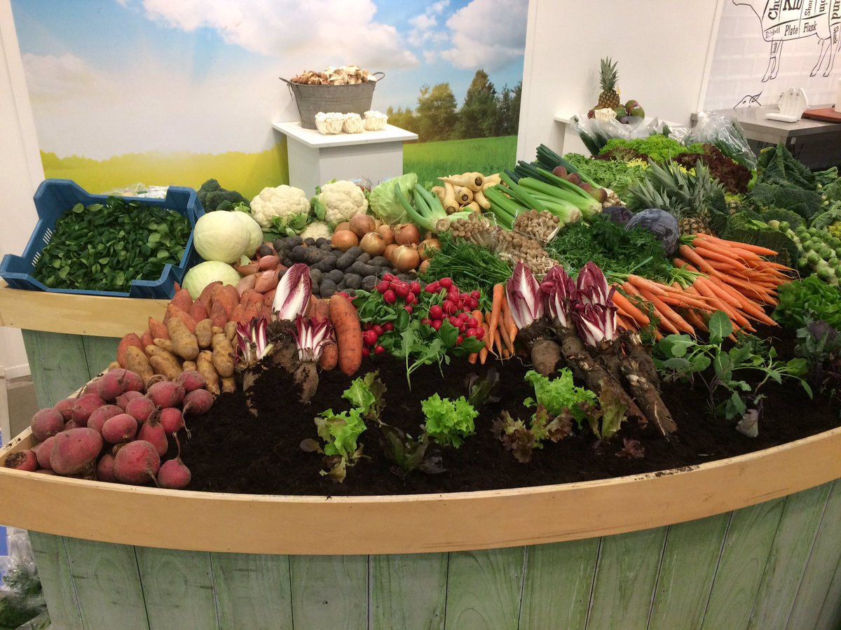 Peter Stavasius tweet media