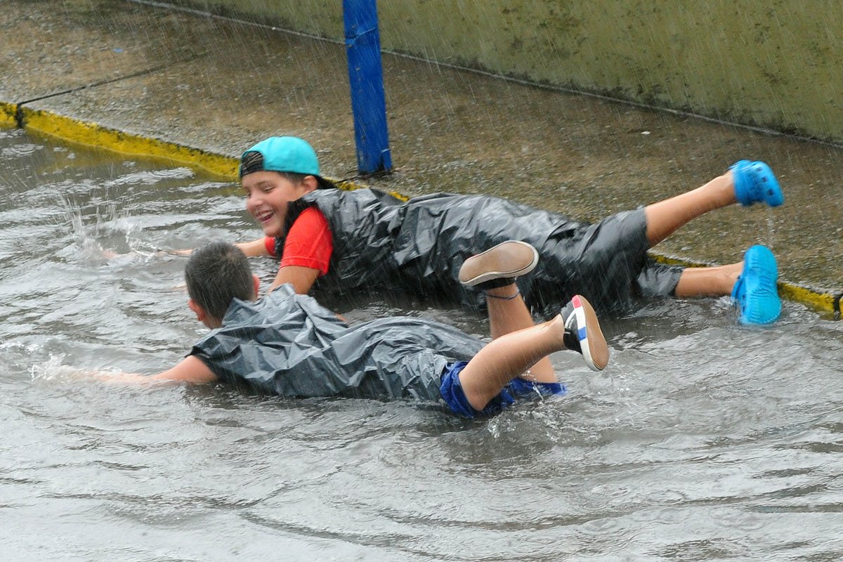 Guillermo Martín Cejas tweet media