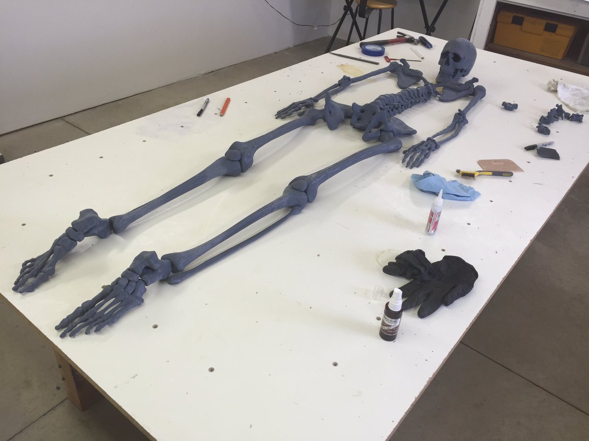 meshbomb1's tweet photo. Full-scale 3D printed artist's skeleton from MRIs CT CBCT EOS #additivism #additivist #3DPrinting #contemporaryart #artist #art #3dprint https://t.co/TBj99tc42D