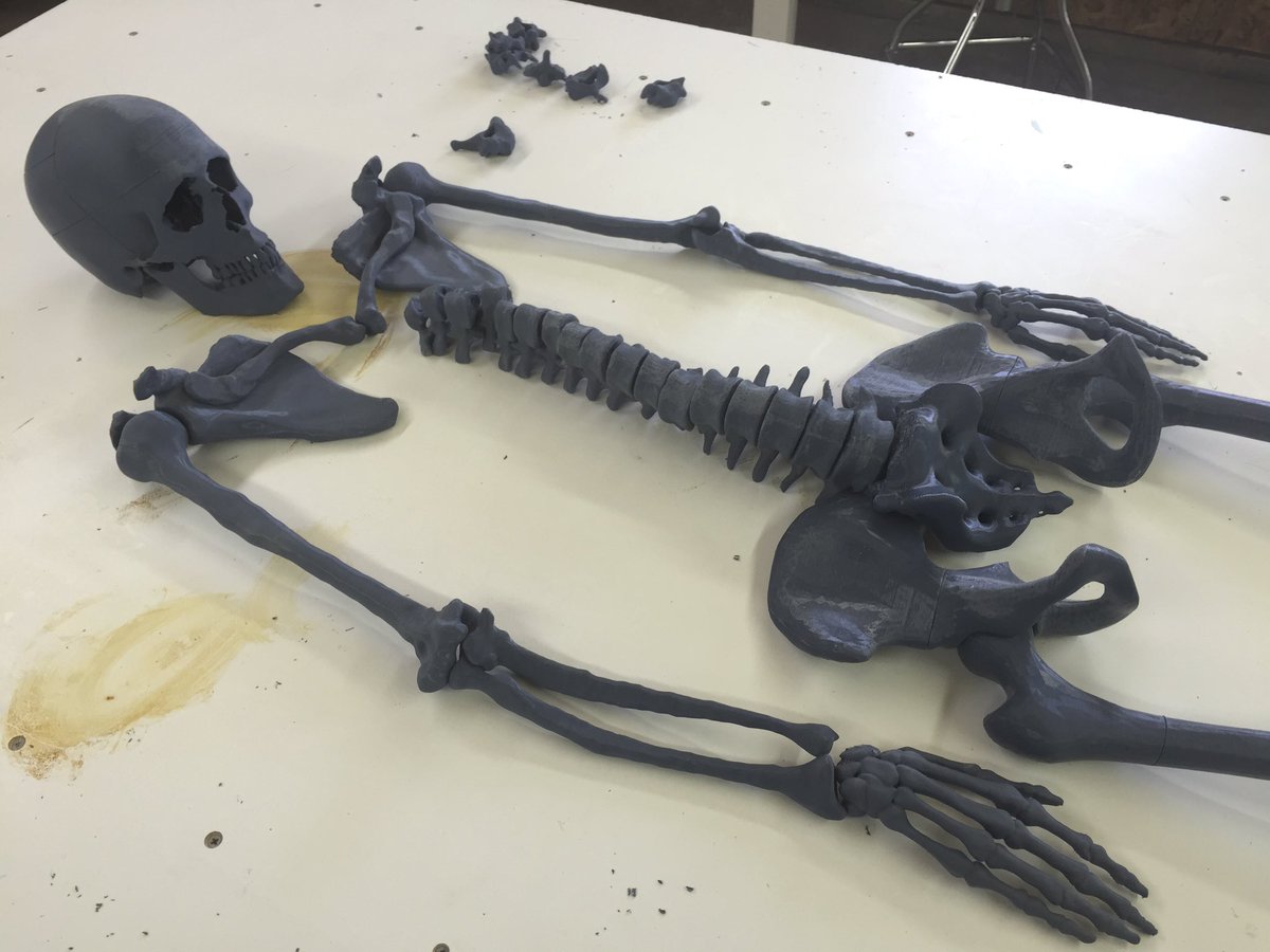 meshbomb1's tweet photo. Full-scale 3D printed artist's skeleton from MRIs CT CBCT EOS #additivism #additivist #3DPrinting #contemporaryart #artist #art #3dprint https://t.co/TBj99tc42D