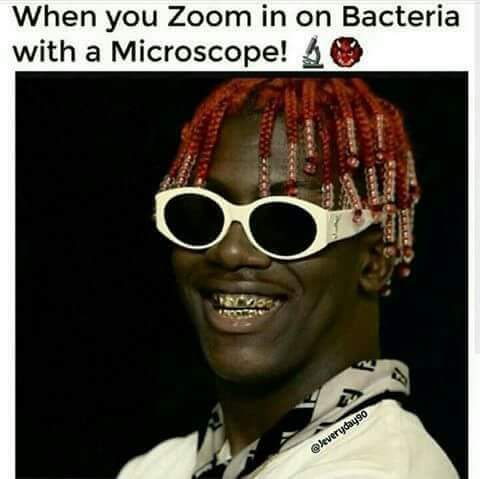 Nina Nina Nina tweet media