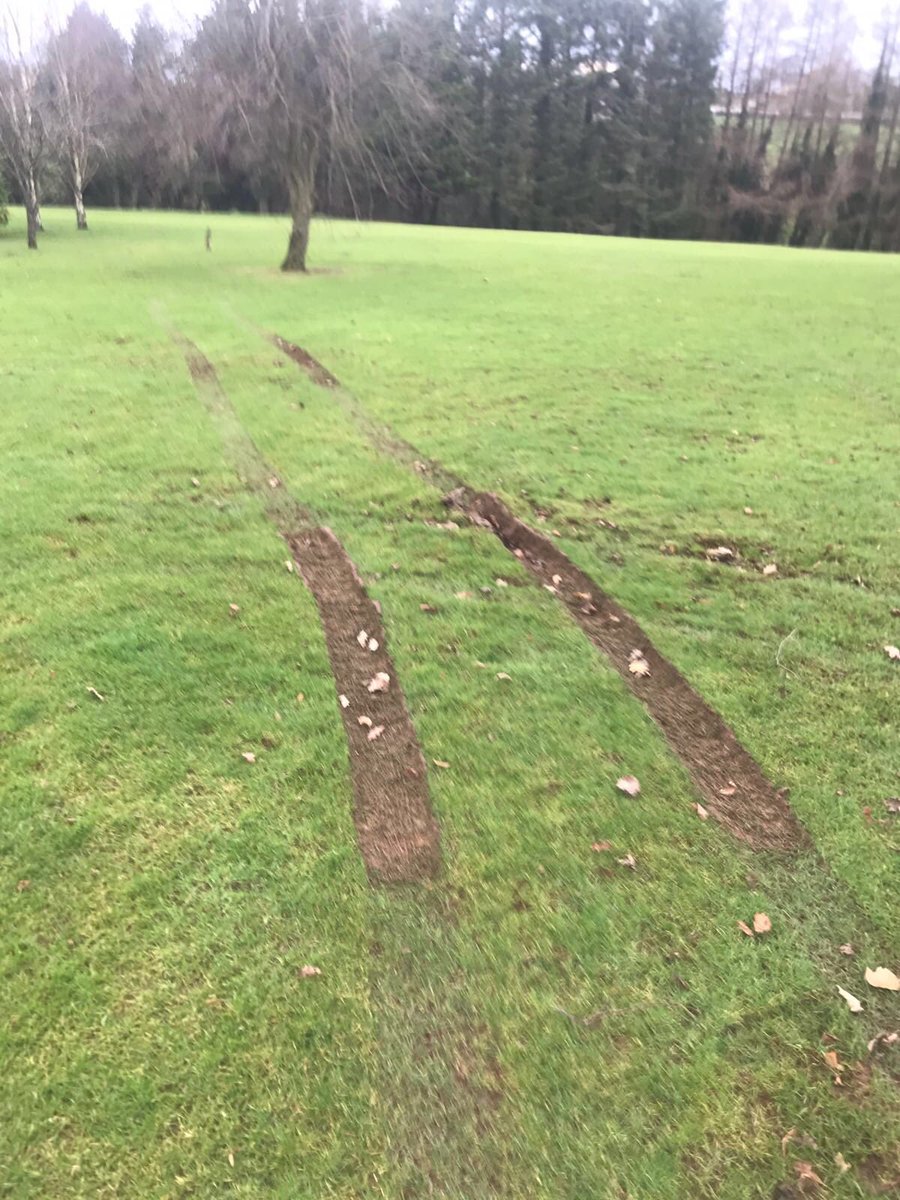 kmoongc's tweet image. Fresh tracks today. Someone knows who is doing this