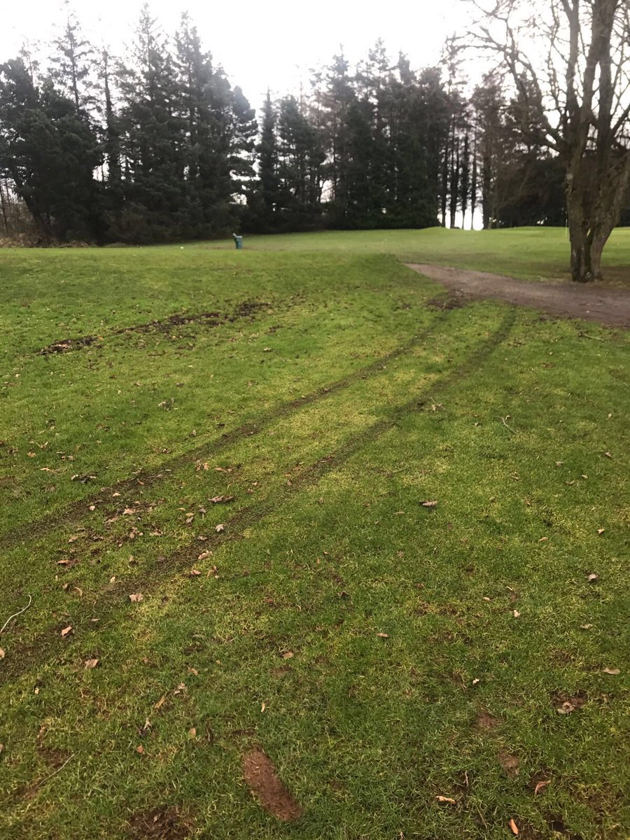 kmoongc's tweet image. Fresh tracks today. Someone knows who is doing this