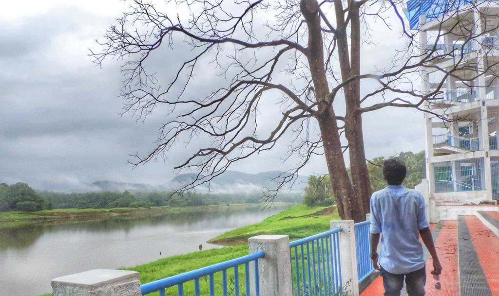 jefre_1234's tweet photo. Exploring nature
#rainy_morning #river_periyar#
#nature_lover#save_tree#save_nature# Kerala
©:sooraj https://t.co/Ooa9gchAD9