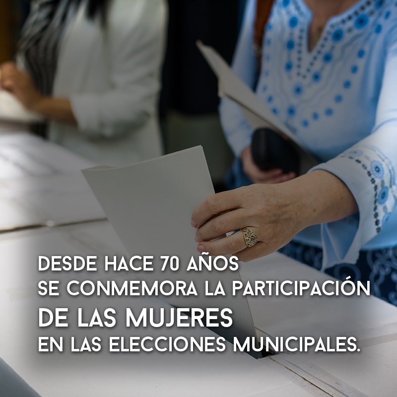 Olveramj tweet media