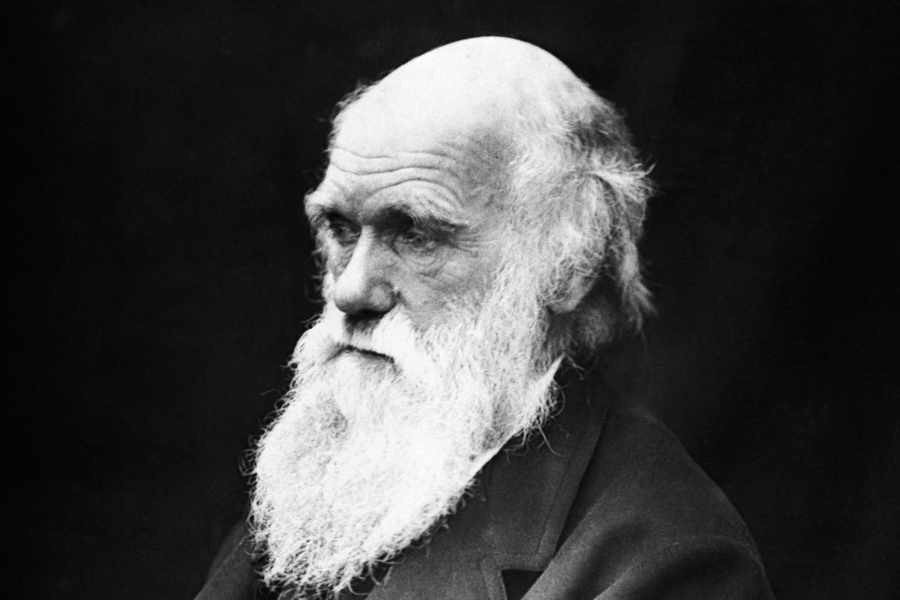 muttamorphosis's tweet image. Happy Birthday Mr. Darwin. Without you, another bearded man was getting all the credit. #evolutionrules #woof2017