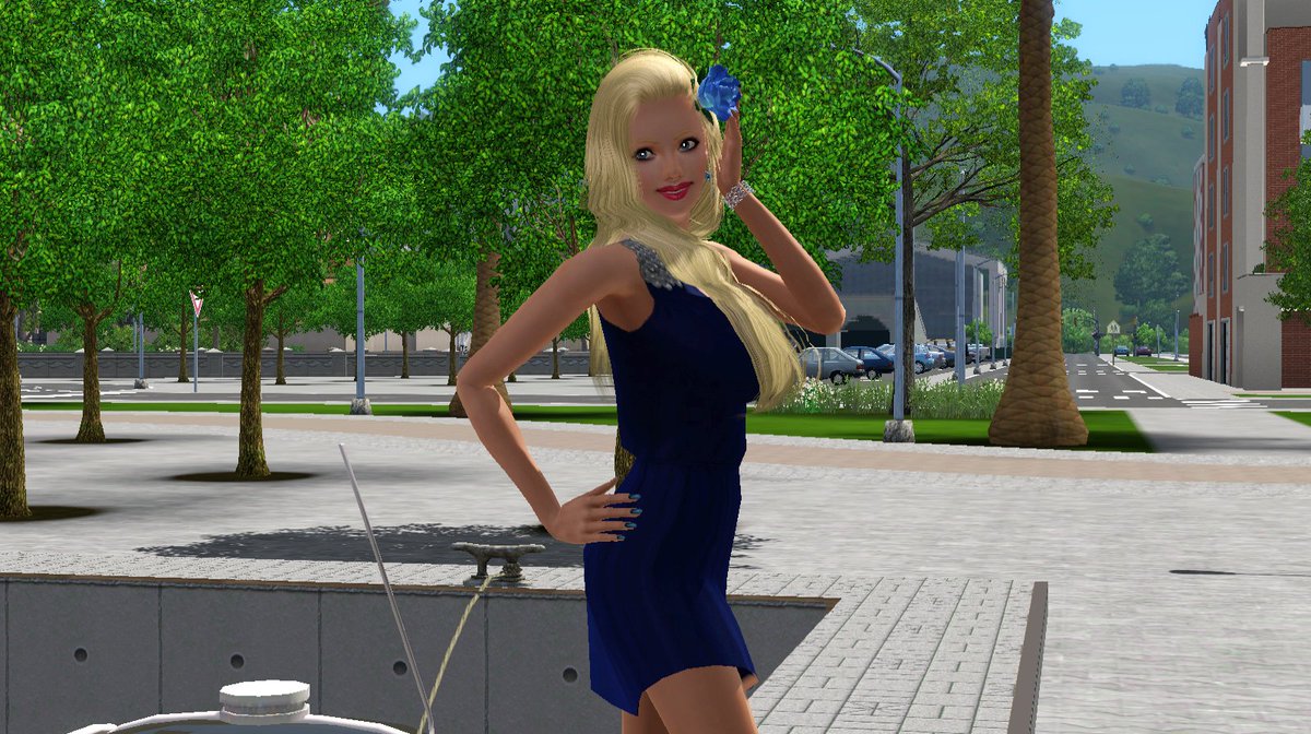 Dudu ProdSims tweet media