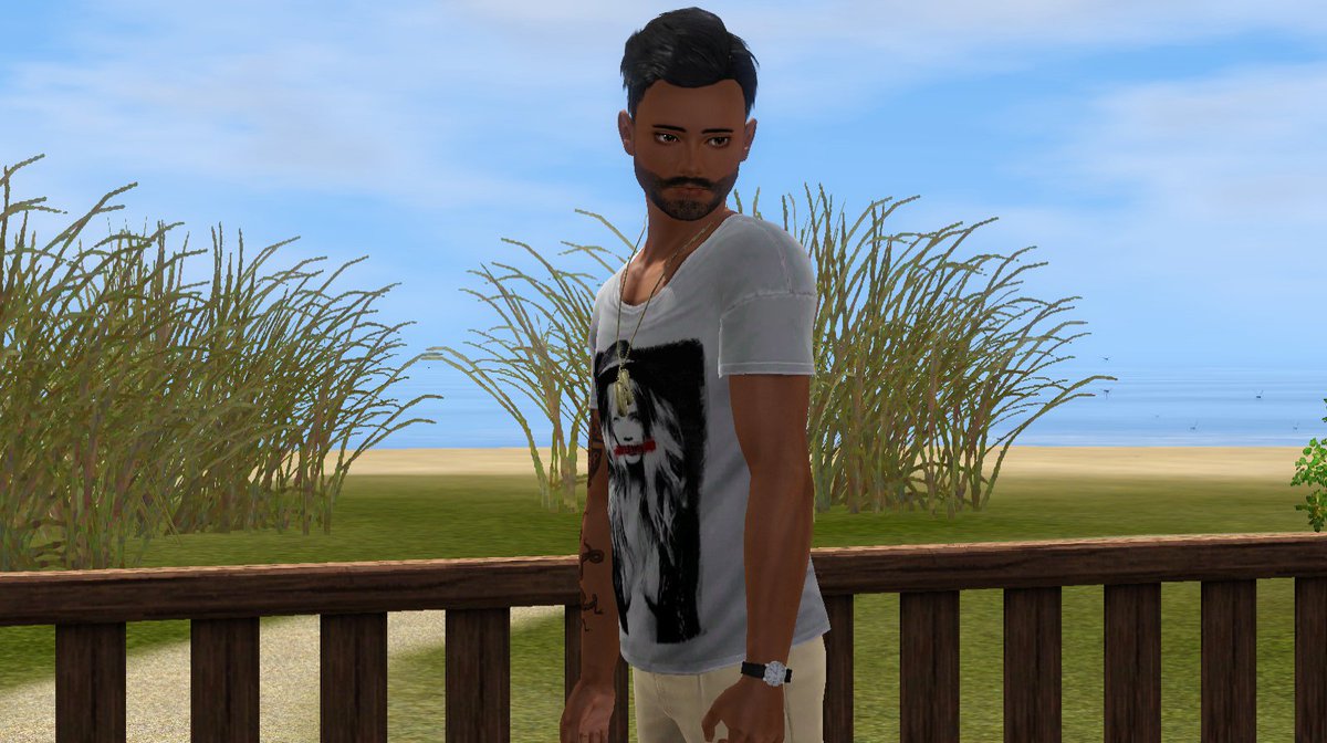 Dudu ProdSims tweet media