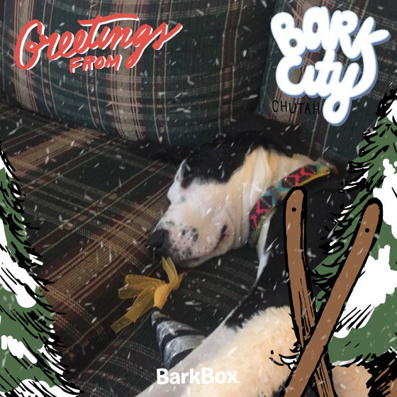 kylehdavis's tweet photo. Check out my pup in this pawsome photo! #BundleUpPup #BarkBox https://t.co/hC05koEZSm