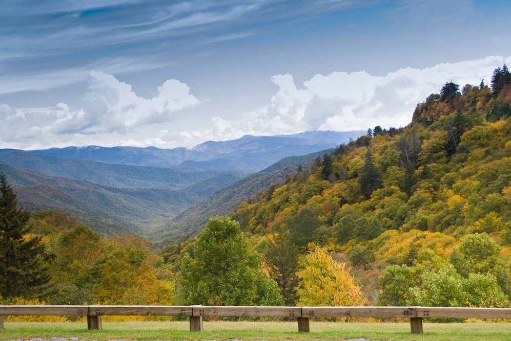 VisitMySmokies's tweet image. Here's how you can help Newfound gap Road become a National Scenic Byway!  visitmysmokies.com/blog/smoky-mou… #gsmnp #nationalparks