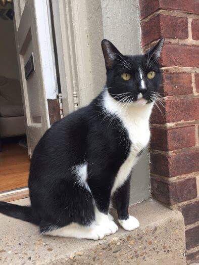 lisahfitz's tweet photo. Help find Ducky! #findducky https://t.co/4eVRgrm8iG