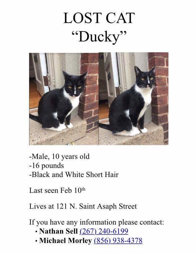 lisahfitz's tweet photo. Help find Ducky! #findducky https://t.co/4eVRgrm8iG
