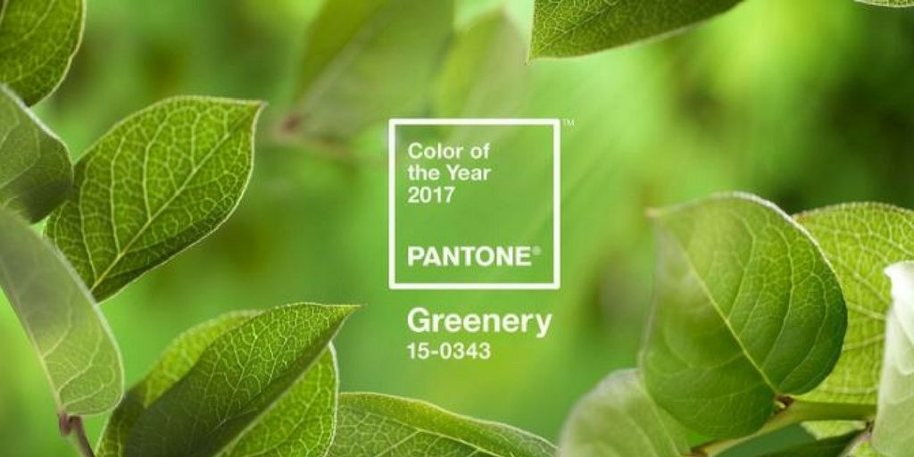 printcoulsdon's tweet photo. See #Visual Trends 2017: discover #Colour, #Design, #Branding & #Photo trends for the year ahead @ https://t.co/mjbiiji4u3 #MasterPrinters https://t.co/Ut0tLiMbTH
