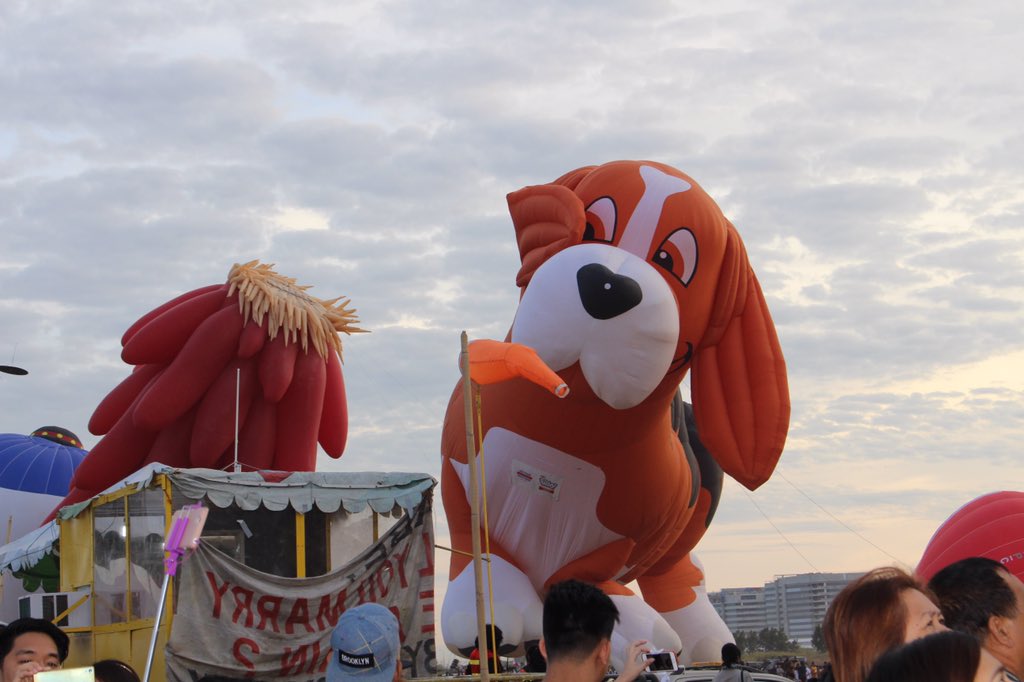 cjsaquido's tweet photo. Who's the coyest (and biggest) dog in town?? Beagle maximus!!! #PIHABF2017 #BalloonFestPH https://t.co/h1qjE477CG