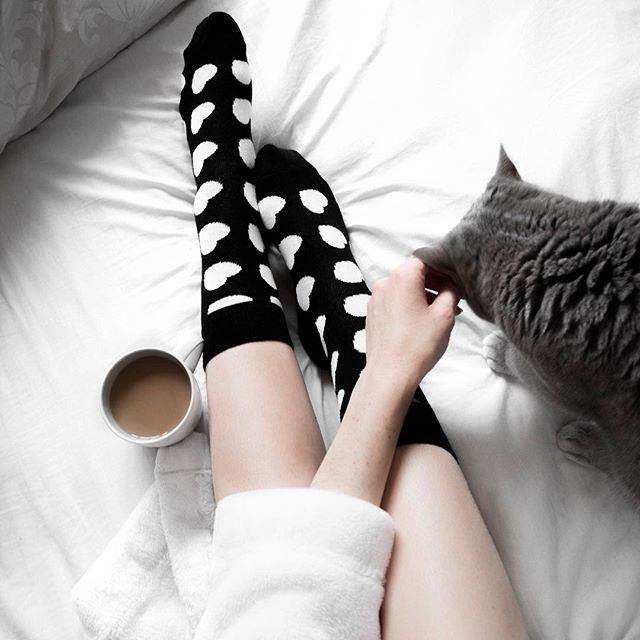 Purrrrrrfect Sundays 🐾 📷 Robyn Louise Taylor #HappinessEverywhere #HappySocks_UK