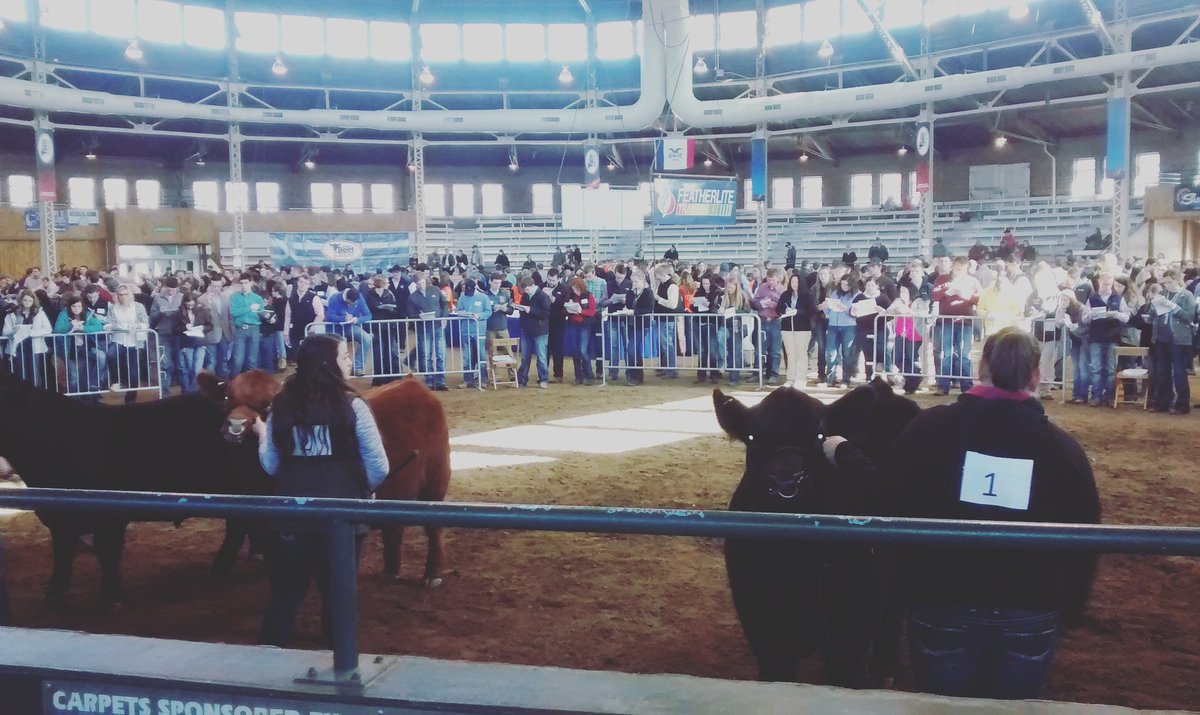 SusannahM17's tweet photo. Iowa Beef Expo Judging on a beautiful Sunday! #swccag https://t.co/ZZq6BNFv6Q