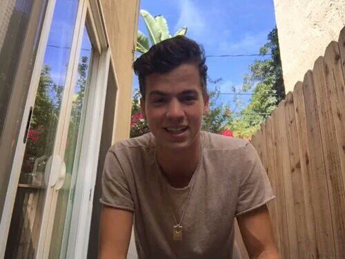 pics_caniff's tweet photo. He's a baby https://t.co/Odrgy6MGS1