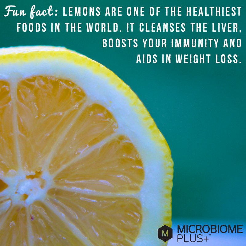Microbiomeplus's tweet photo. Have you had your lemon water for the day yet?
#MicrobiomePlus #BenefitsOfLemons #DrinkMoreWater https://t.co/rxf6a8JdFs