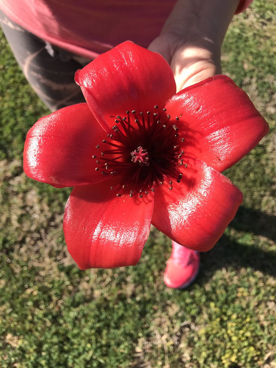 Así de linda es la vida !! @amor