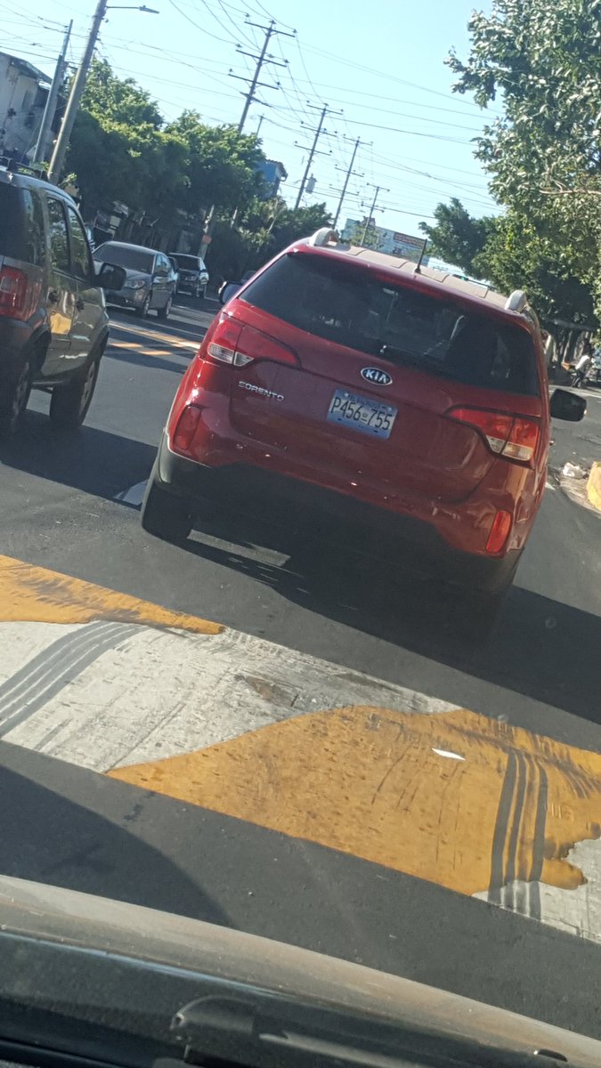 OwitOx's tweet photo. Conductor vehículo P456755 le echó el carro a una perra en calle al volcán. No había trafico pudo frenar y no lo hizo. ¿Quién es el animal? https://t.co/Zg5JRN3GWQ