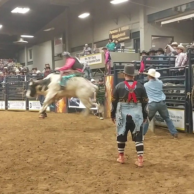 MicheleOvercast's tweet photo. That dream! Riding Hollywood Slinger from the movie The Longest Ride #rodeo #cowboyshit #Bullrider #wrangler #ariat. #thelingestride https://t.co/Z6X9VkOrj5